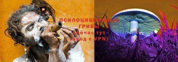 ГАЛЛЮЦИНОГЕННЫЕ ГРИБЫ Михайловск