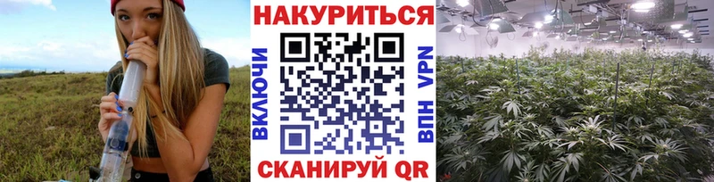 Купить где  Москва  Каннабис планчик